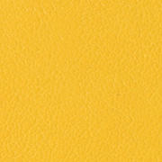 Sunny Yellow Matte Leatherette