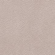 Similicuir Lisse Beige Sucré