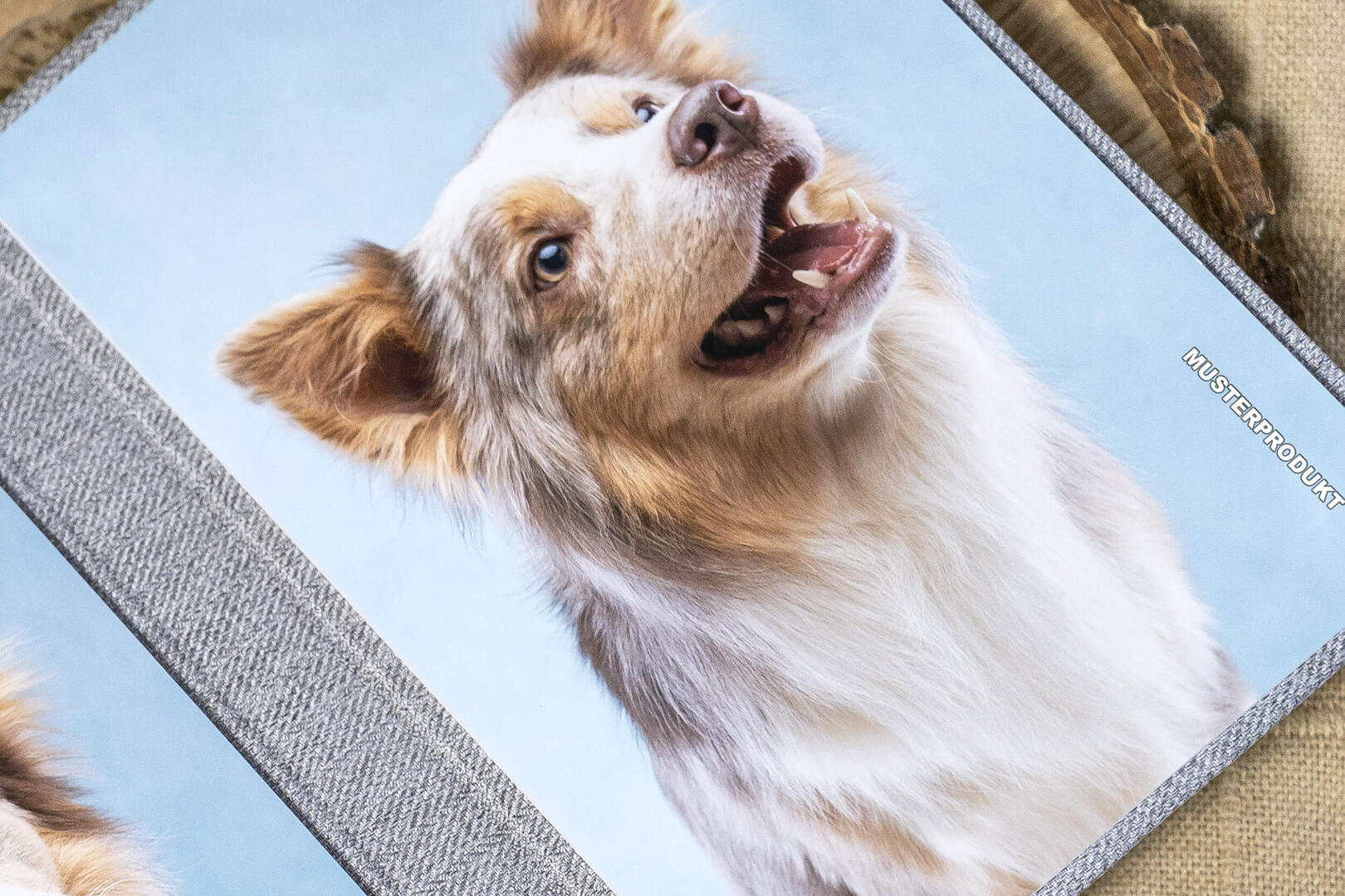 Bestelle deinen Black Friday Triplex